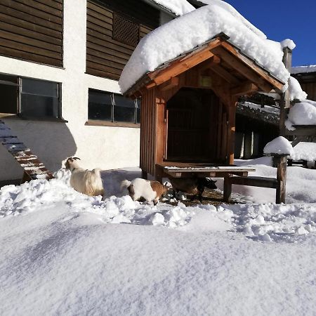 Zweimaederlhaus Apartment บัดมิทแทร์นดอร์ฟ ภายนอก รูปภาพ
