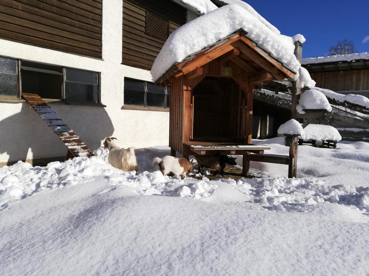 Zweimaederlhaus Apartment บัดมิทแทร์นดอร์ฟ ภายนอก รูปภาพ